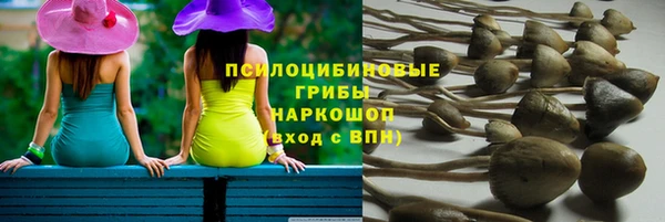 герыч Бородино