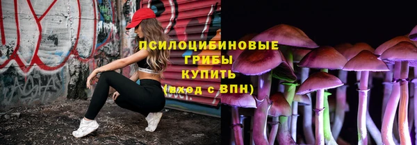 герыч Бородино
